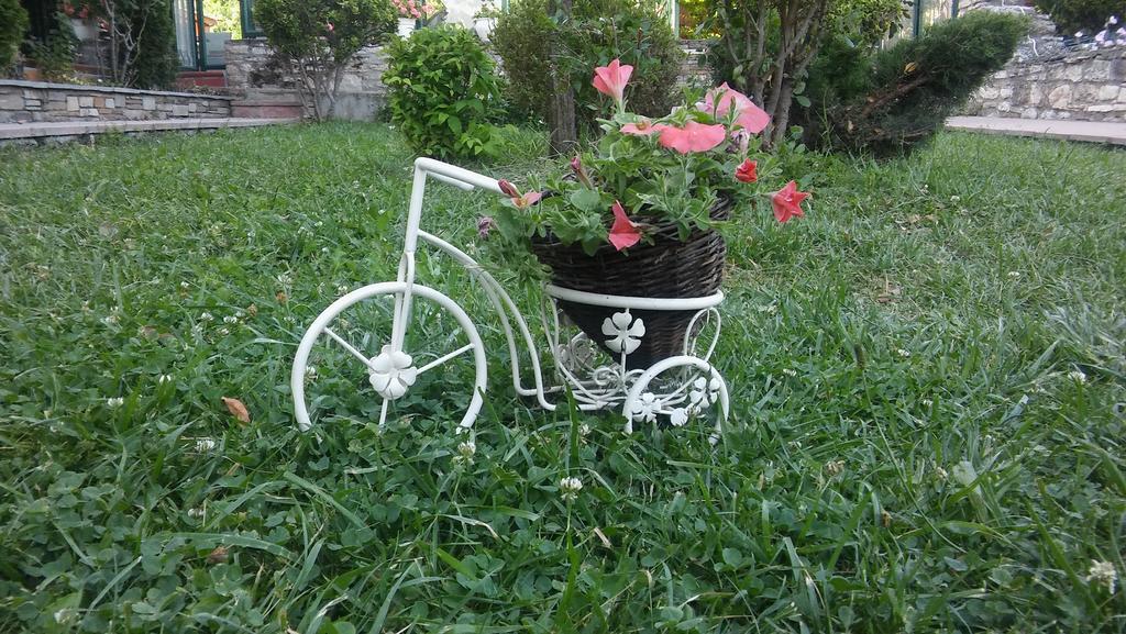 Nefeli Hotel Kozani Zewnętrze zdjęcie